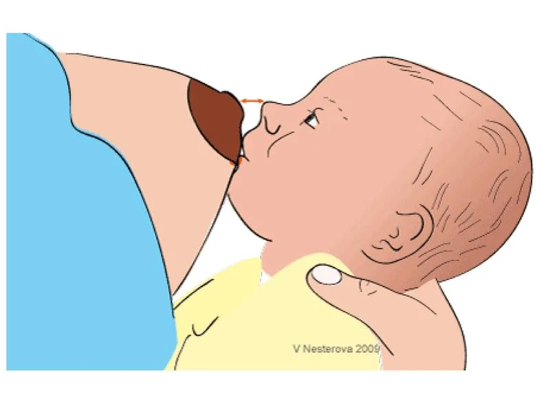 Как забрать грудь у младенца. Как правильно давать грудь новорожденному? Поэтапное описание. Гигиенический уход за грудью во время вскармливания