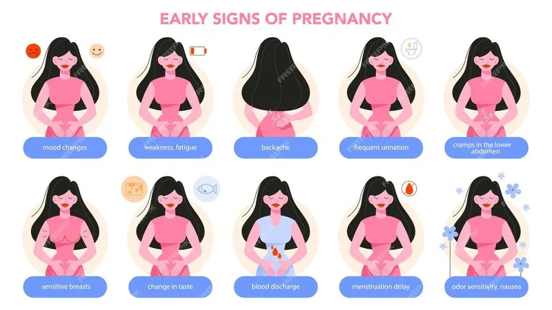 Пропали симптомы беременности на 6 акушерской неделе. Могут ли пропасть признаки беременности. Почему пропали признаки беременности, что делать? Живот пришел в норму